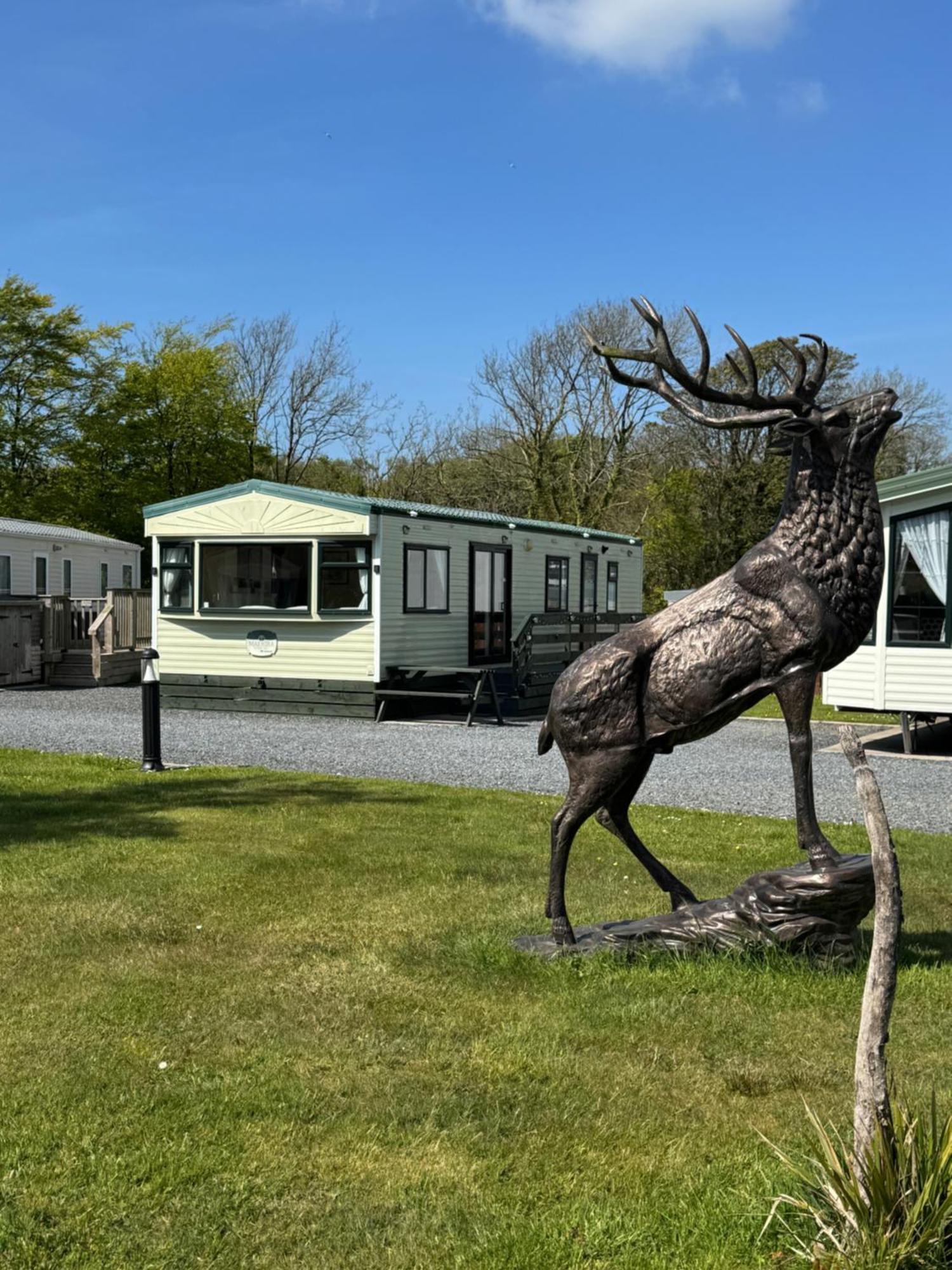Happydays Caravan 1 Newton Stewart Whithorn Экстерьер фото